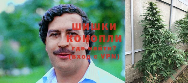 альфа пвп Горно-Алтайск