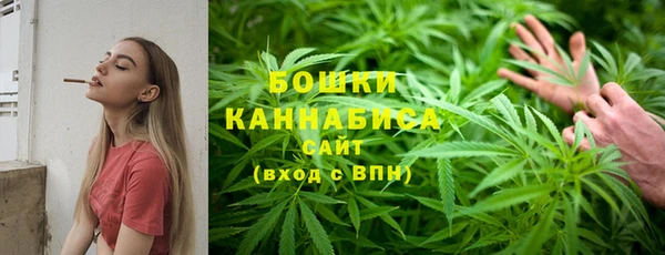 альфа пвп Горно-Алтайск