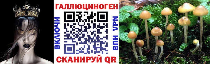 Галлюциногенные грибы мухоморы  Тюмень 